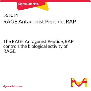 RAGE Antagonist Peptide, RAP，10MG，553031-10MGCN，Sigma