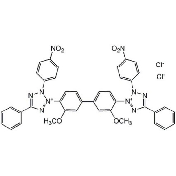 p-Nitroblue Tetrazolium Chloride，250MG，484235-250MGCN，Sigma