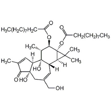 4α-Phorbol-12,13-didecanoate，1MG，524394-1MGCN，Sigma