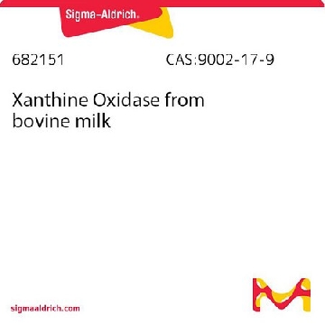 Xanthine Oxidase from bovine milk，50U，682151-50UCN，Sigma