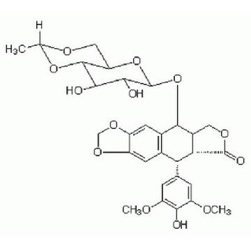 依托泊苷，25MG，341205-25MGCN，Sigma