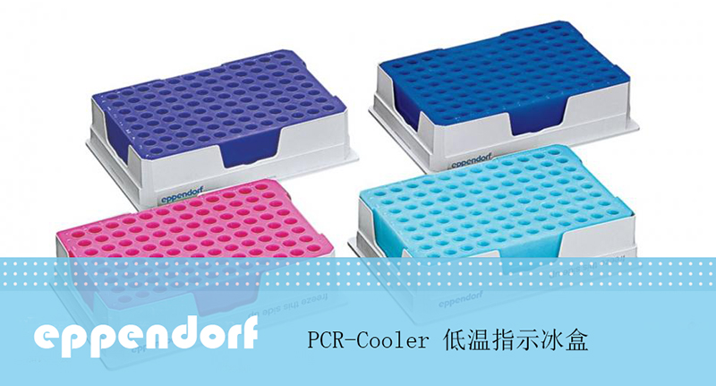 PCR-Cooler 低温指示冰盒 0.2 ml, 蓝色冰盒，3881000031，Eppendorf，艾本德
