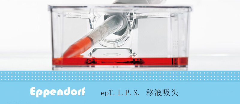 epTIPS 独立包装, 0.1-20µl, 生物纯级, 100个吸头