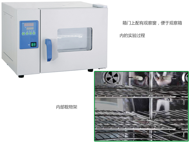 小型微生物培养箱，控温范围：RT+5~65℃，内胆尺寸250×200×200mm，容积10L，DHP-9011B，一恒