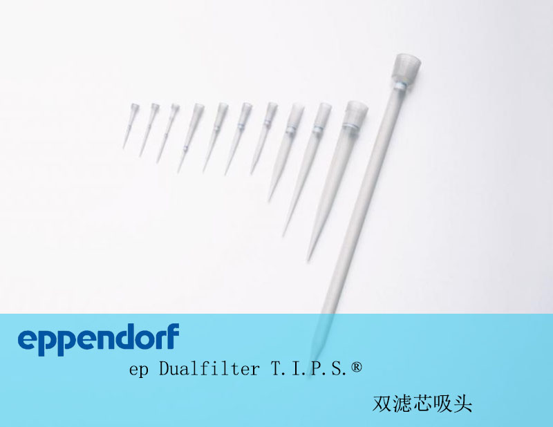 ep Dualfilter TIPS 双滤芯吸头，50-1000µl
