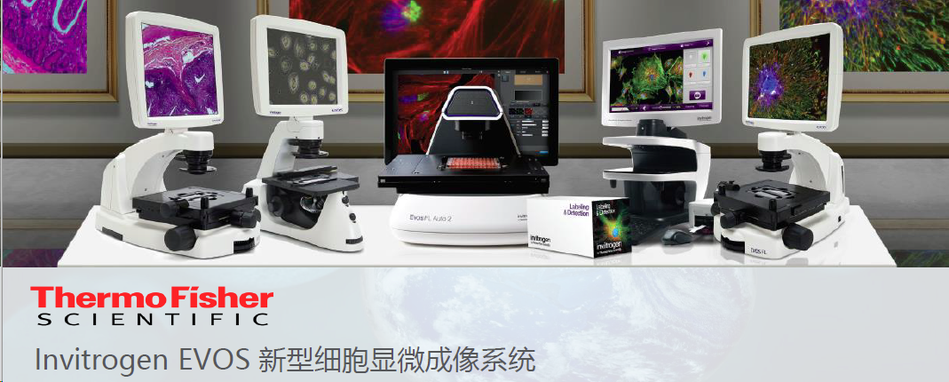 EVOS Floid 细胞成像工作站，Invitrogen，FLoid™ Cell Imaging Station，4471136，赛默飞世尔，Thermofisher