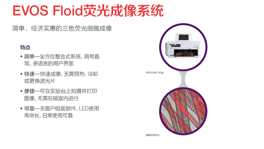 EVOS Floid 细胞成像工作站，Invitrogen，FLoid™ Cell Imaging Station，4471136，赛默飞世尔，Thermofisher