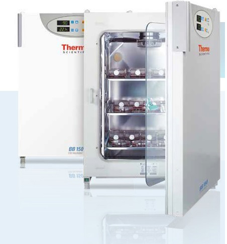 CO2细胞培养箱，BB150-2TCS，湿热灭菌，Thermofisher，赛默飞世尔