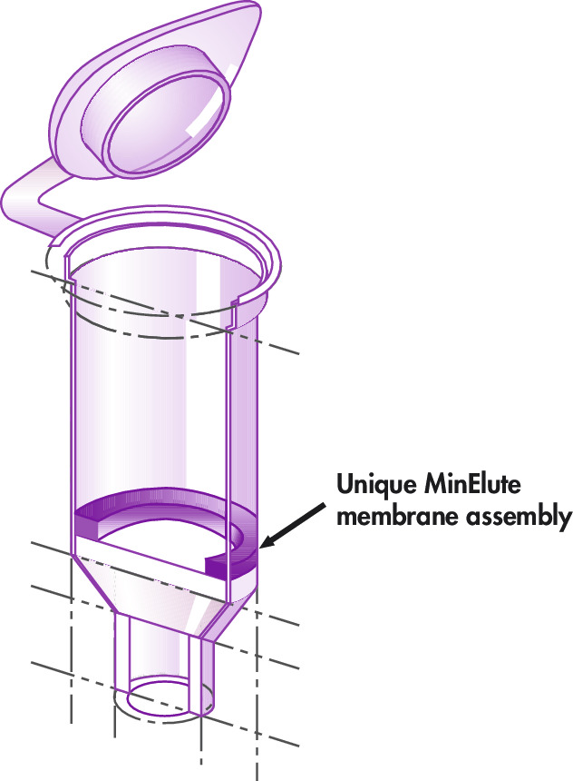 MinElute Gel Extraction Kit (1000),28606X4,Qiagen,凯杰 MinElute Gel Extraction Kit (1000),28606X4,Qiagen,凯杰