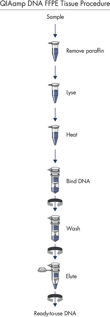 QIAamp DNA FFPE Tissue Kit (50)，56404，Qiagen，凯杰