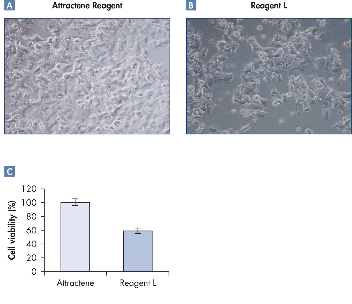 Attractene Transfection Reagent (1 ml)，301005，Qiagen，凯杰