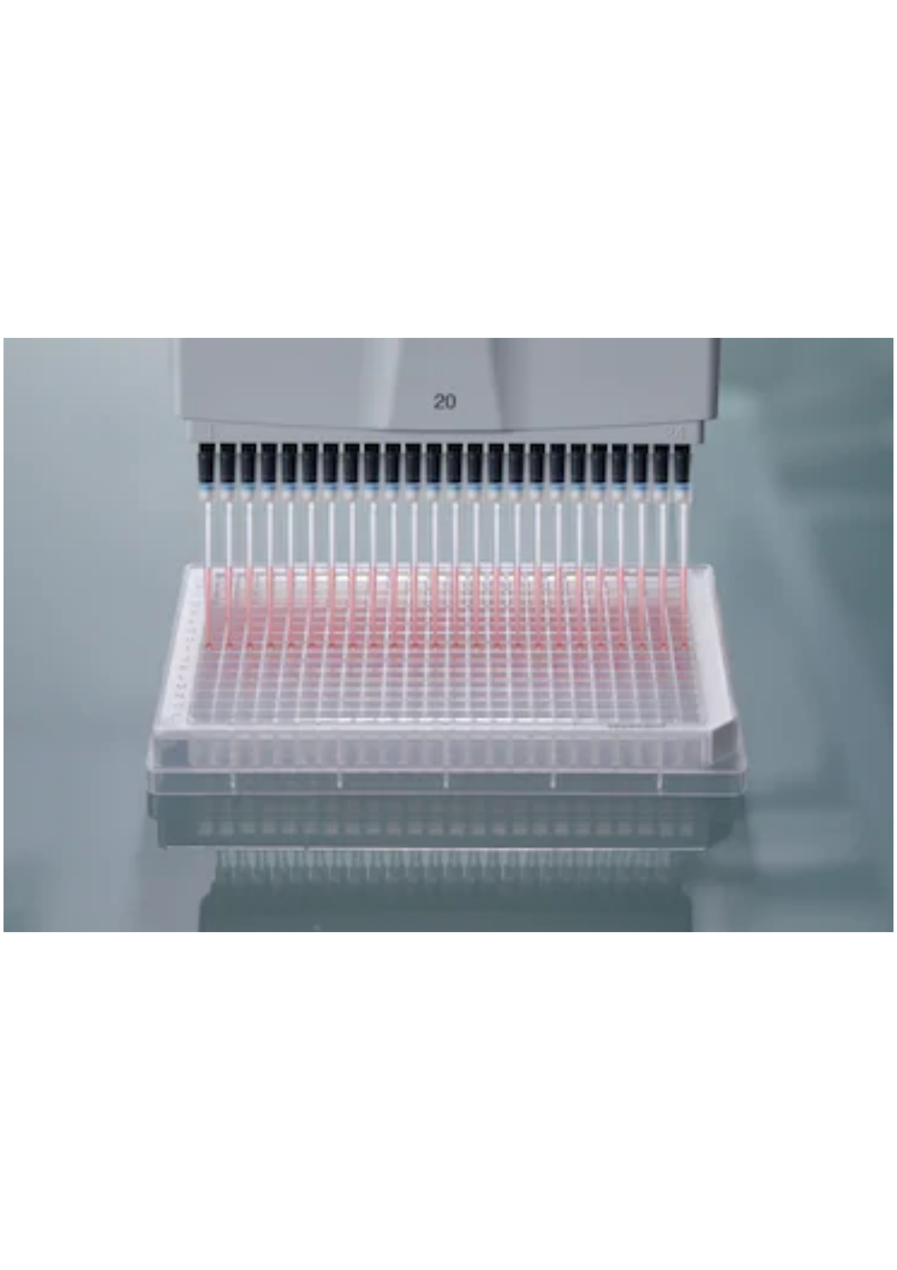 epTIPS Reloads 384 预装板, PCR洁净级, 0.1-20 µL, 42 mm, 珍珠白, 3,840个吸头( 10板x384个吸头)，0030076001，Eppendorf，艾本德