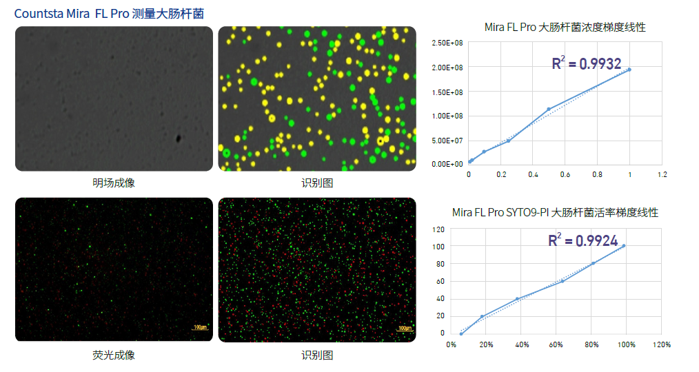 Mira FL Pro微生物细胞计数仪，IN050301，Countstar