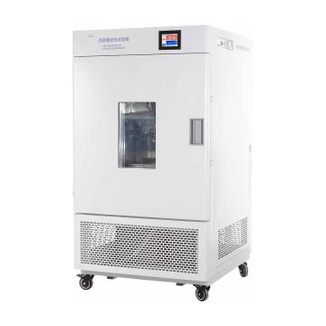 大型综合药品稳定性试验箱，控温范围：有光10~50℃，无光0~65℃，内胆尺寸670×725×1020mm，容积500L，LHH-500GSP，一恒