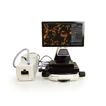 EVOS M5000 细胞成像系统，Invitrogen，EVOS™ M5000 Imaging System，AMF5000，赛默飞世尔，Thermofisher