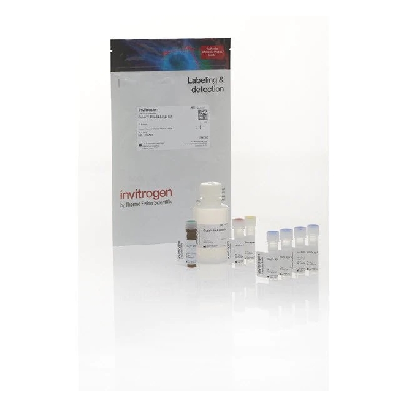 Qubit™ RNA IQ Assay Kit 75 Assays，检测试剂盒，Q33221，Thermofisher，赛默飞世尔