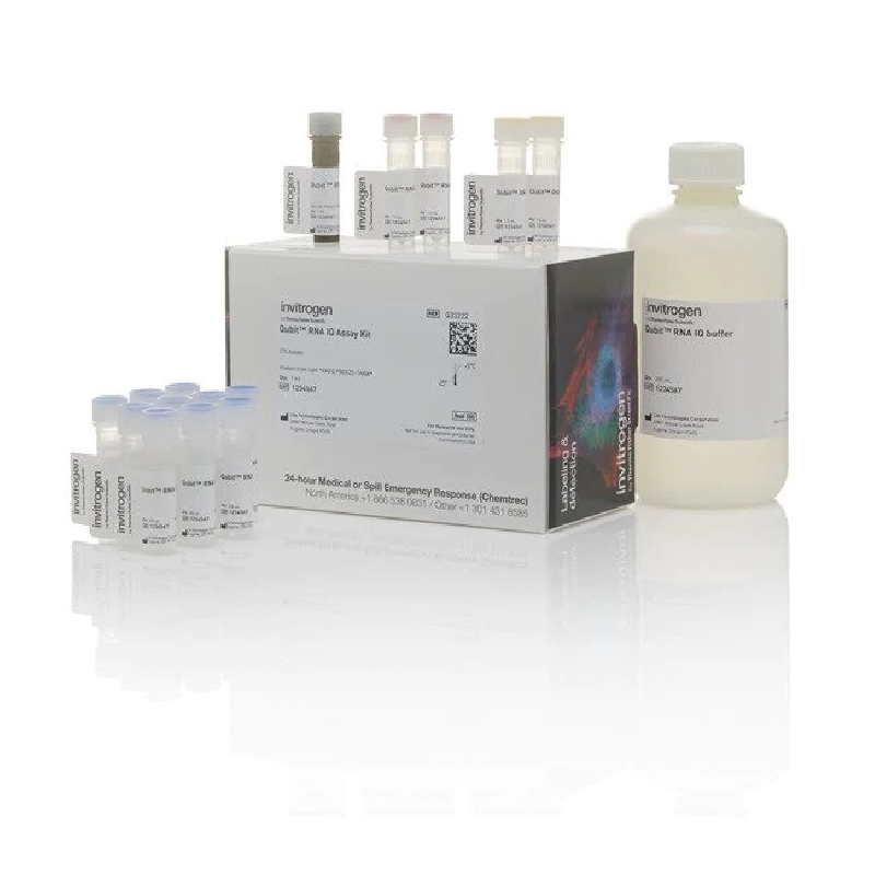 Qubit™ RNA IQ Assay Kit 275 Assays，检测试剂盒，Q33222，Thermofisher，赛默飞世尔