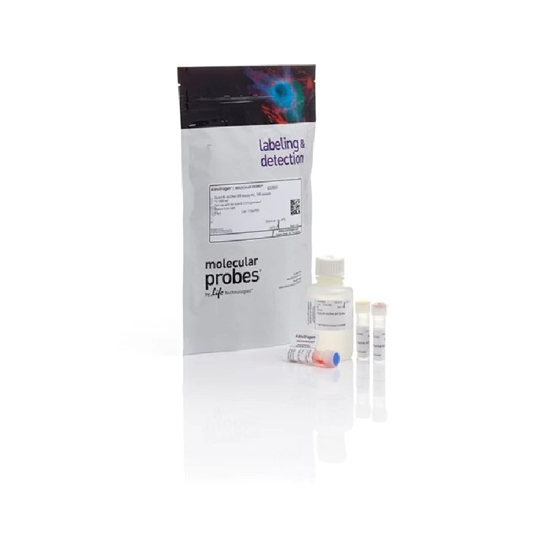 QUBIT DSDNA BR ASSAY KIT，检测试剂盒，100assays/盒，Thermofisher，赛默飞世尔
