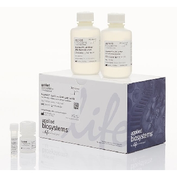 MAGMAX CELL-FREE DNA ISO KIT，Thermofisher，赛默飞世尔