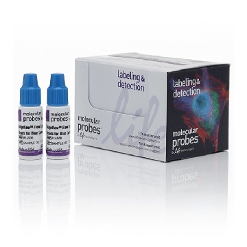 ALIGNFLOW FOR BLUE LASERS 2.5 2x1.5 ML，A16500，Invitrogen