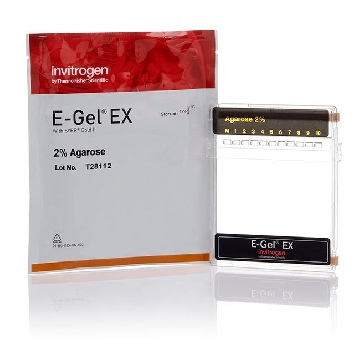 E-GEL EX GELS, 2%, 20-PAK 20 PAK，G402002，Invitrogen