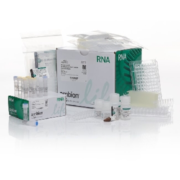 WT EXPRESSION KIT (10 RXN.) EACH，4411973，Applied Biosystems