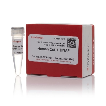 HUMAN COT-1 DNA FLUOR QC 1ML AT 1MG/ML FLUOROMETRY，15279101，Invitrogen
