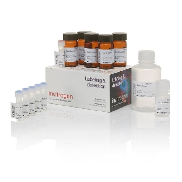 CYQUANT LDH CYTOTOXICITY 1000 1 Kit，C20301，Applied Biosystems