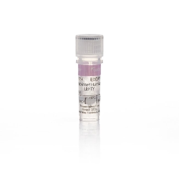 REC HU LEFTY, 10UG 10 UG，PHC1714，Invitrogen