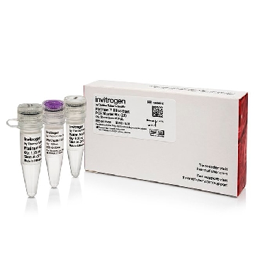 PLATINUM II PCR MM (2X) 50 RXNS，14000012，Applied Biosystems