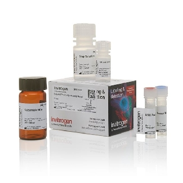 CYQUANT LDH CYTOTOXICITY 200 1 Kit，C20300，Applied Biosystems