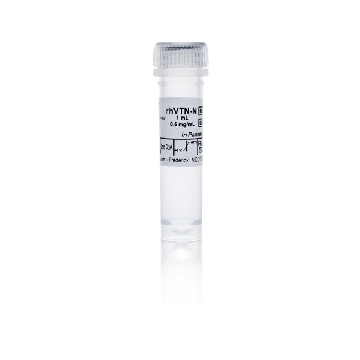 RHVTN-N (RUO) 0.5 mg，A14700，Invitrogen