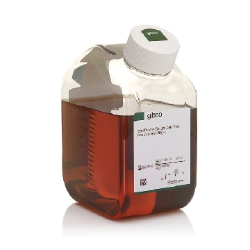 FETAL BOVINE SERUM NZ ORIGIN 1L，10091155，Invitrogen