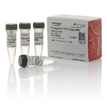 PLATINUM PCR SUPERMIX HIGH FID 5000 REACTIONS，12532024，Invitrogen