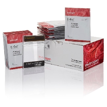 E-GELS 4% 18/PK，G501804，Invitrogen