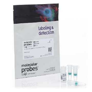 AB CONJ PURIFY KIT (20-50UG) 1 KIT，A33087，Invitrogen