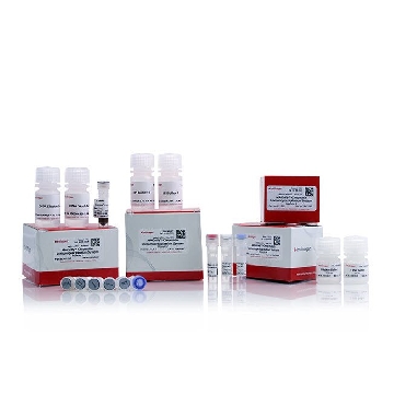 MAGNIFY (TM) CHROMATIN IMMUNOP MAGNIFY (TM) CHROMATIN IMMUNOP，492024，Invitrogen
