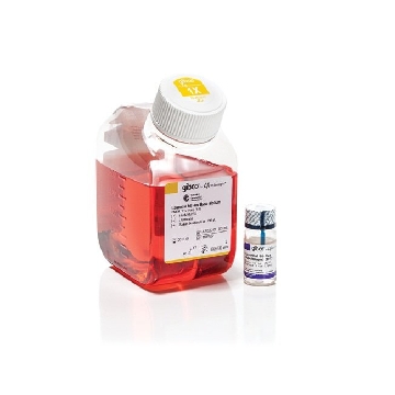 ESSENTIAL 8 FLEX MEDIUM KIT，A2858501，Invitrogen