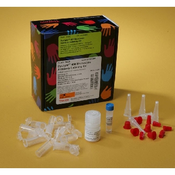 DYLIGHT MICROSCALE ANTIBODY LABELING KIT，53025，赛默飞世尔