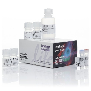 CLICK PLUS EDU 647 FLOW KIT 50 1 KIT，C10634，Invitrogen