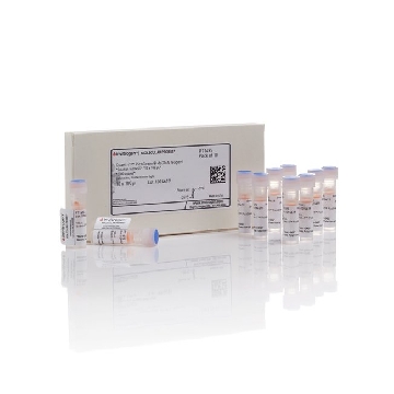 QUANT-IT PICOGREEN DSDNA REAGE 10 X 100 UL，P11495，Invitrogen