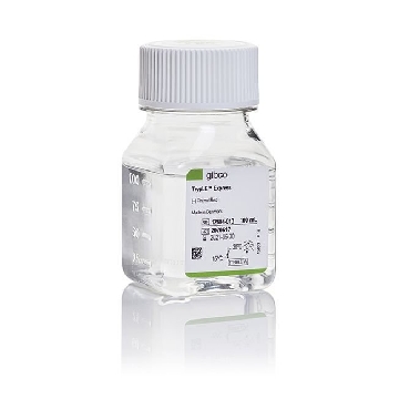 TRYPLE EXPRESS 100ML，12604013，Invitrogen