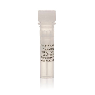 RIBOMINUS (HUMAN/MOUSE) 6 RXNS，K155002，Invitrogen