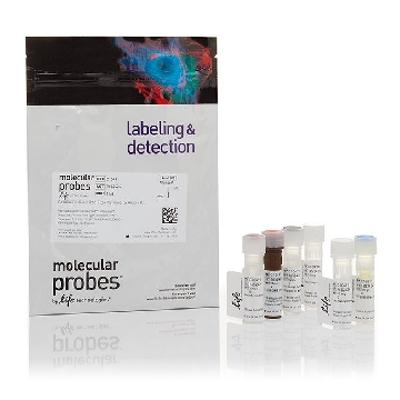 CELLROX DEEPRED FLOW ASSAY KIT KIT，C10491，Invitrogen