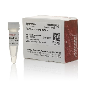 RANDOM HEXAMER PRIMERS EACH，N8080127，Applied Biosystems