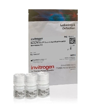 READY PROBES AUTOFLUO QUENCH 1 KIT，R37630，Applied Biosystems