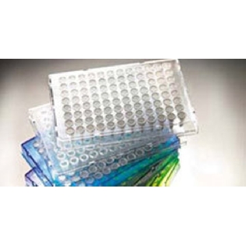 ARMADILLO 96-WELL PLATE, YELLO w SEMI-SKIRTED, CLEAR WELLS, B，BC2596Y，赛默飞世尔
