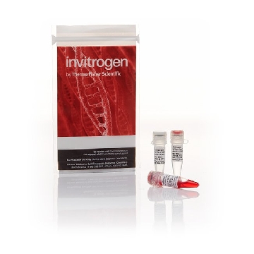 ANZA 9 NDEI EA，IVGN0096，Invitrogen