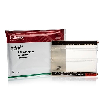 E-GEL 48 2% WITH SYBR SAFE 8 GELS，G820802，赛默飞世尔