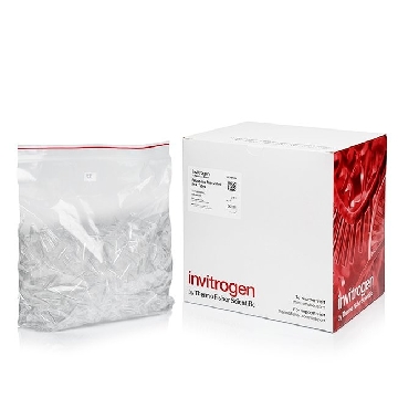 Transfer SKU 0.5 ML PCR TUBES 1000 TUBES EACH，AM12250，赛默飞世尔